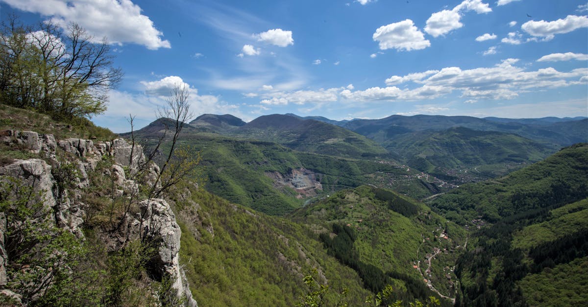 découvrez l'écotourisme, une forme de voyage respectueuse de l'environnement qui combine aventure et conservation. explorez des destinations écologiques, participez à des activités durables et savourez la beauté de la nature tout en soutenant les communautés locales. redécouvrez le voyage sous un nouveau jour en choisissant l'écotourisme.