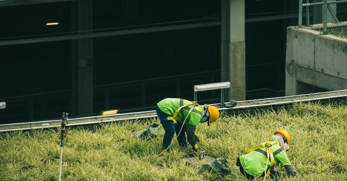 découvrez l'écologie urbaine, une discipline innovante qui explore l'interaction entre les écosystèmes et les milieux urbains. apprenez comment l'urbanisation influence la biodiversité, l'environnement et le bien-être des habitants, tout en proposant des solutions durables pour un avenir harmonieux dans nos villes.