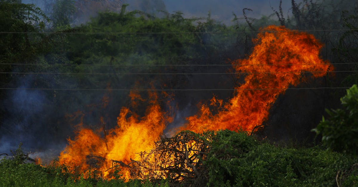 découvrez comment participer à la prévention du changement climatique grâce à des actions concrètes et responsables. apprenez les meilleures pratiques pour réduire votre empreinte carbone et préserver notre planète pour les générations futures.