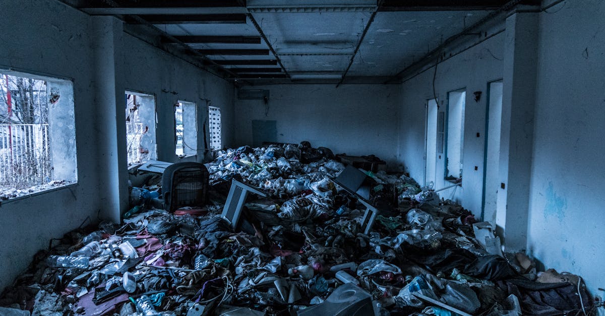 découvrez les impacts environnementaux lors de nos choix quotidiens et des activités humaines. apprenez comment chacun peut contribuer à la préservation de notre planète en réduisant son empreinte écologique.