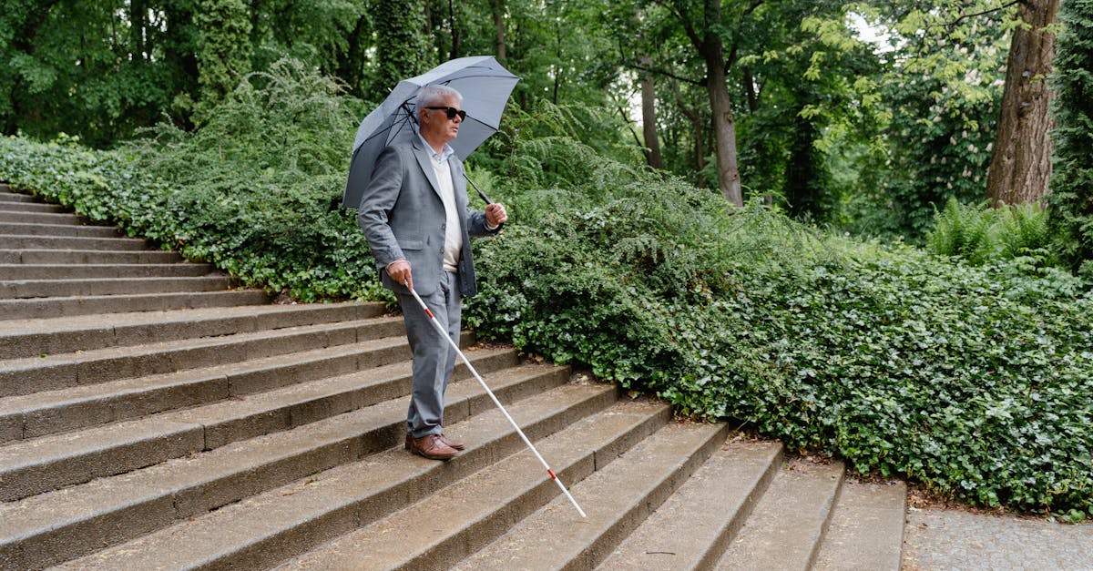 découvrez les solutions de mobilité verte qui révolutionnent notre façon de nous déplacer, favorisant un environnement sain et durable. explorez des alternatives écologiques pour un futur sans carbone.