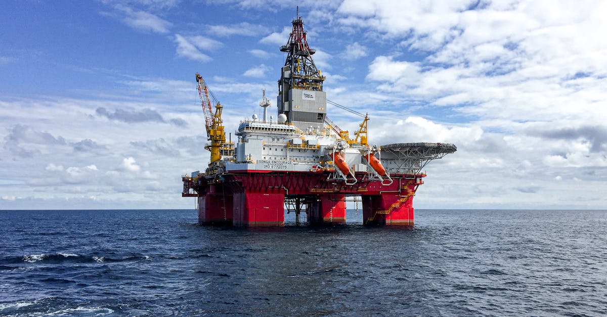 découvrez l'importance des ressources naturelles, leur rôle dans l'économie mondiale et leur impact sur l'environnement. apprenez comment la gestion durable de ces ressources est essentielle pour un avenir meilleur.