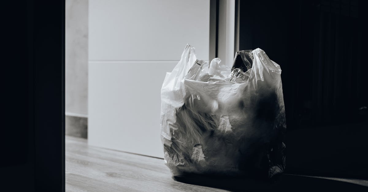 découvrez l'importance du recyclage pour préserver notre planète. apprenez des méthodes efficaces pour réduire vos déchets et contribuer à un avenir durable grâce à des pratiques de recyclage simples et accessibles.