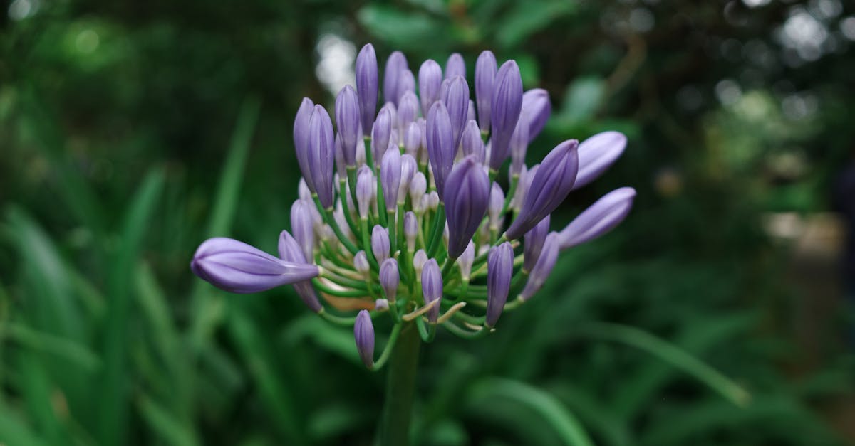 découvrez les principes de la croissance verte, une approche durable qui allie développement économique et protection de l'environnement. apprenez comment les entreprises et les gouvernements peuvent innover pour favoriser une économie respectueuse des ressources naturelles et réduire les impacts écologiques.