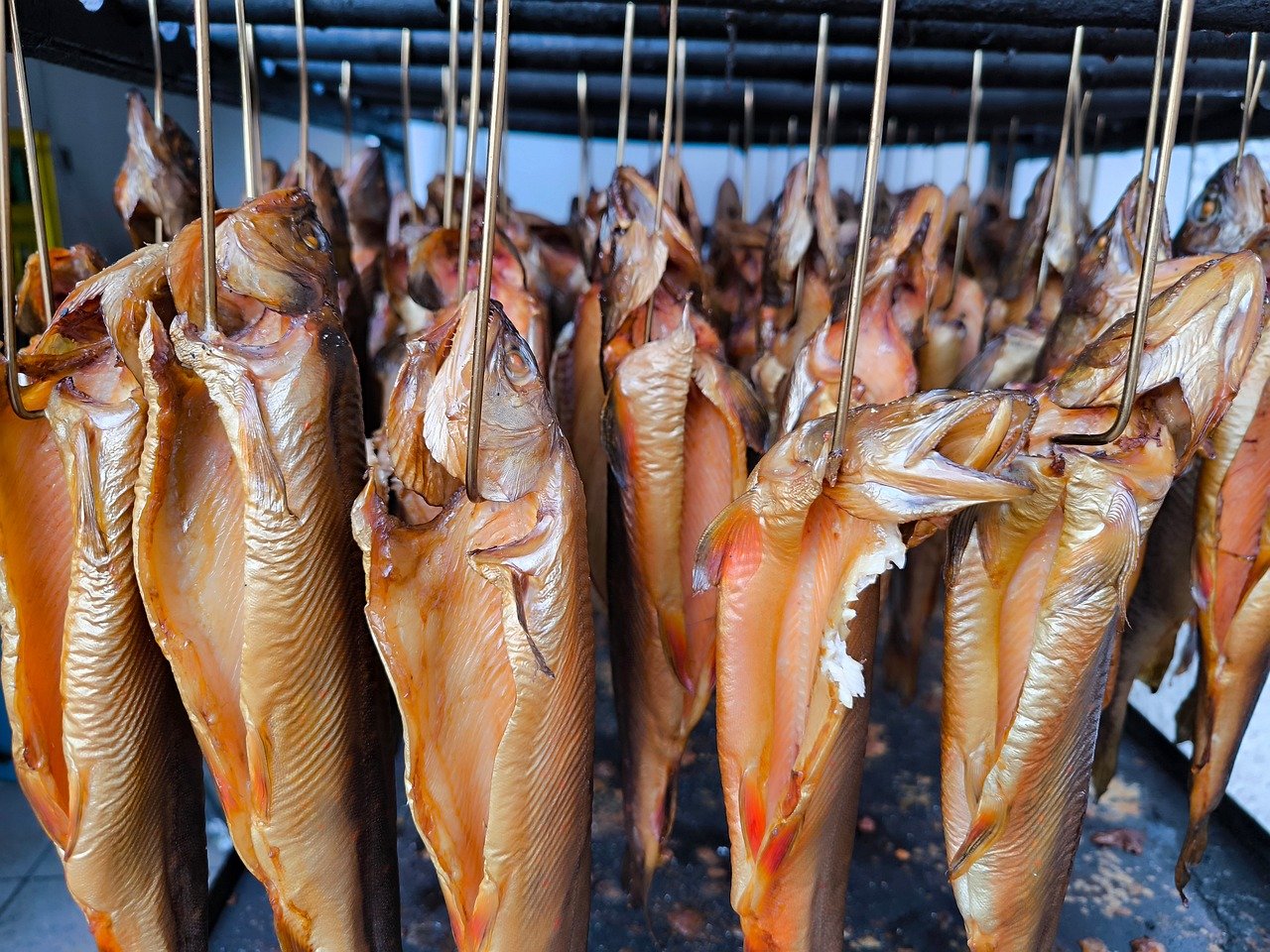 découvrez ce qu'est la pêche durable, ses principes et son importance pour préserver les ressources marines et protéger l'environnement tout en soutenant les communautés de pêcheurs.