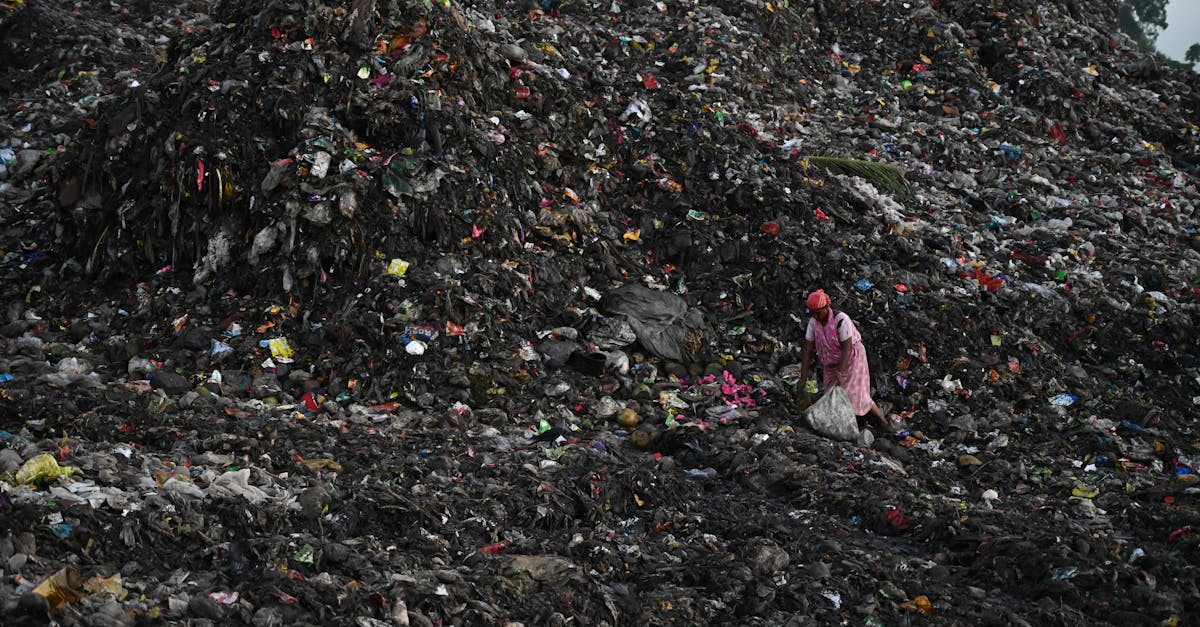 découvrez des solutions innovantes de gestion des déchets pour un avenir durable. apprenez à réduire, réutiliser et recycler efficacement vos déchets grâce à nos conseils d'experts en gestion des déchets.