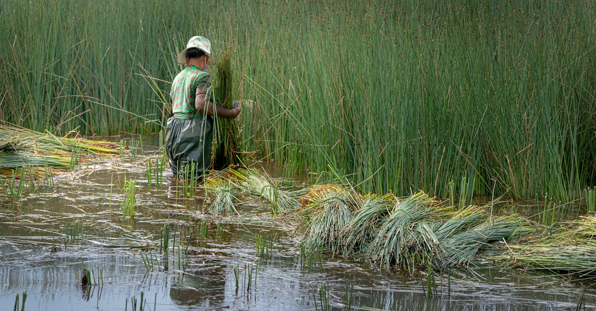 découvrez les meilleures pratiques durables pour les entreprises, afin de réduire l'impact environnemental, améliorer la responsabilité sociale et renforcer la performance économique.
