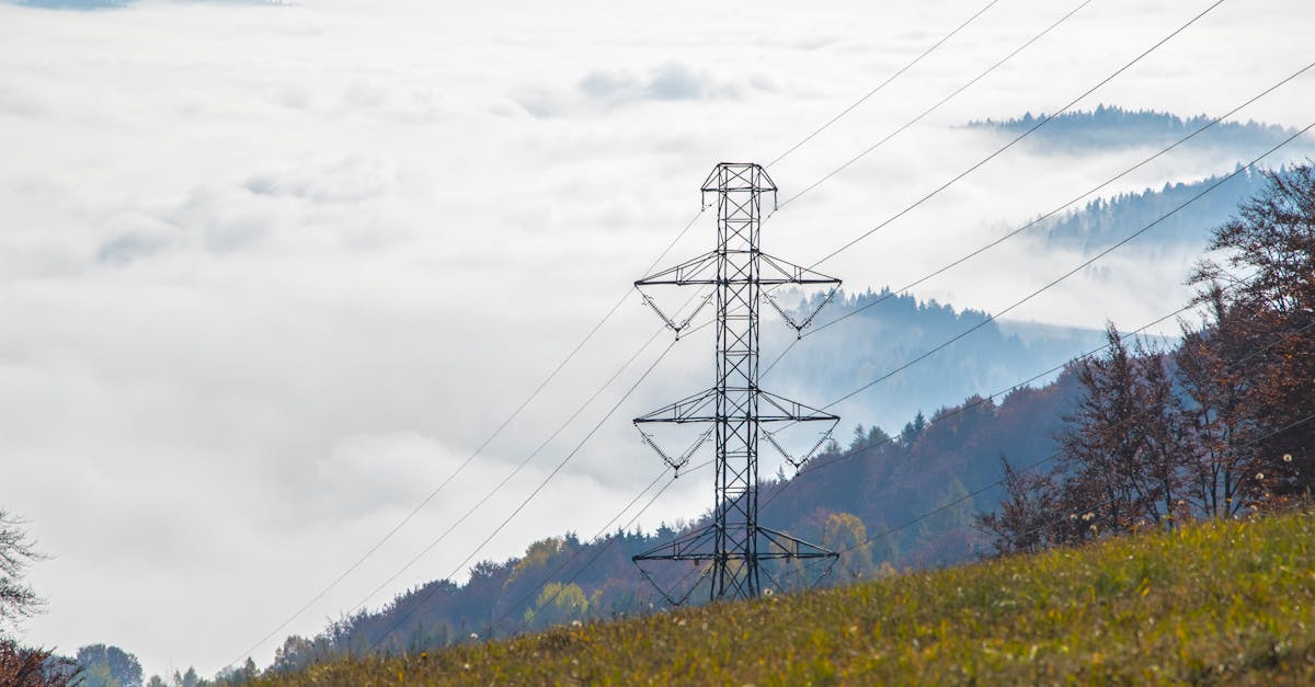 découvrez les réseaux d'énergie renouvelable, une solution innovante pour un avenir durable. apprenez comment ces systèmes interconnectés facilitent l'utilisation de sources énergétiques propres et favorisent la transition énergétique.