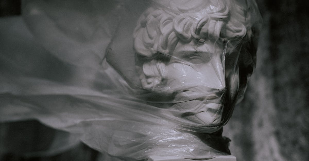 découvrez des stratégies efficaces de réduction des déchets pour minimiser votre impact environnemental. apprenez des astuces simples et pratiques pour adopter un mode de vie durable et contribuer à la préservation de notre planète.