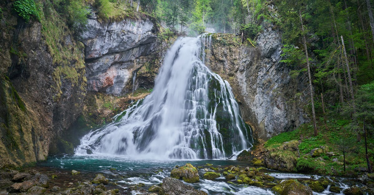 découvrez l'écotourisme, une alternative durable pour explorer la nature tout en préservant l'environnement. que vous soyez aventurier ou amateur de tranquillité, vivez des expériences authentiques au cœur des paysages préservés.