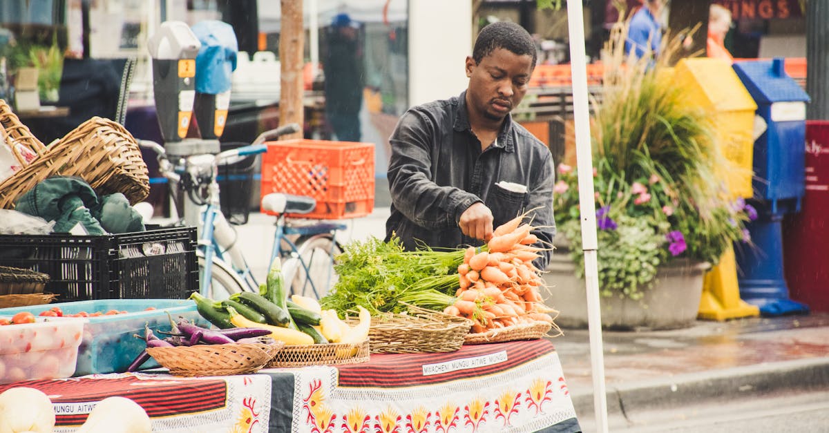 découvrez comment une économie durable peut transformer nos sociétés, en équilibrant croissance, équité sociale et protection de l'environnement. explorez des solutions innovantes pour un avenir plus vert et responsable.