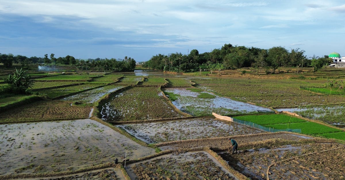 découvrez l'agriculture durable, une approche innovante qui combine respect de l'environnement, économie et bien-être social. apprenez comment cette pratique préserve les ressources naturelles tout en répondant aux besoins alimentaires de demain.