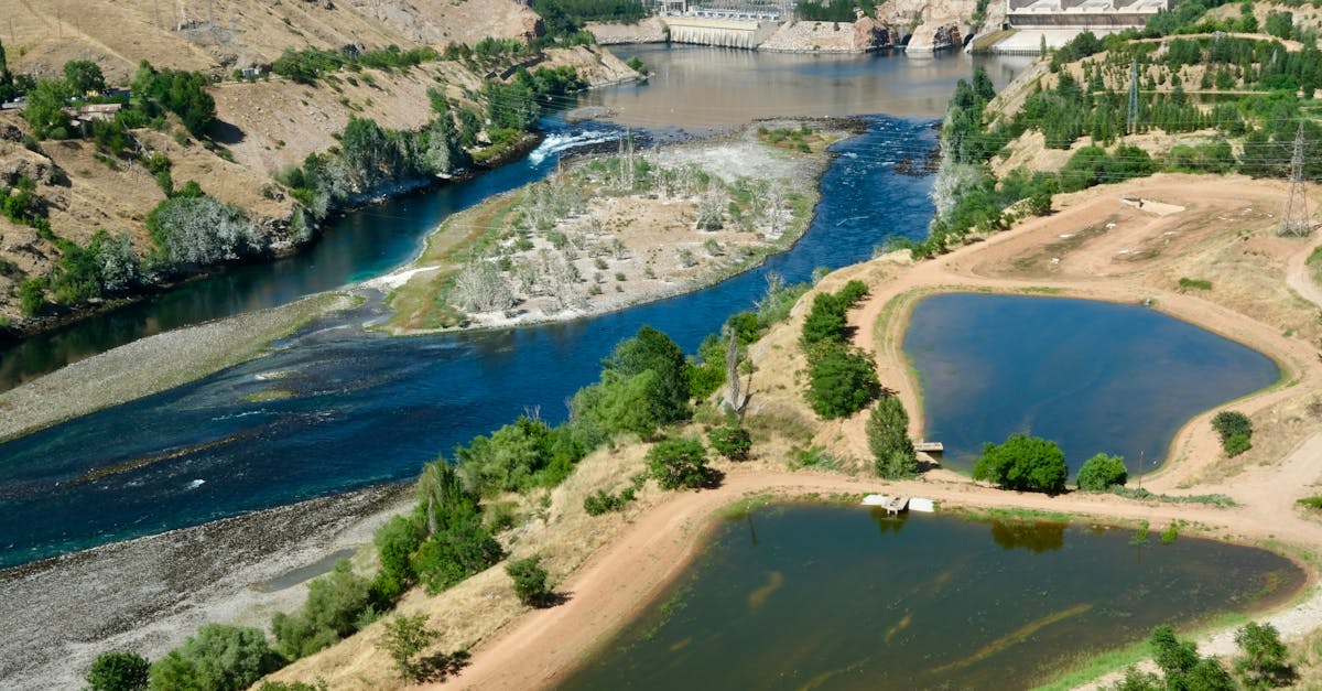 découvrez l'infrastructure verte : une approche innovante pour améliorer la durabilité urbaine, favoriser la biodiversité et gérer les ressources naturelles de manière efficace. explorez les avantages écologiques et économiques de l'intégration de solutions naturelles dans l'aménagement des espaces urbains.