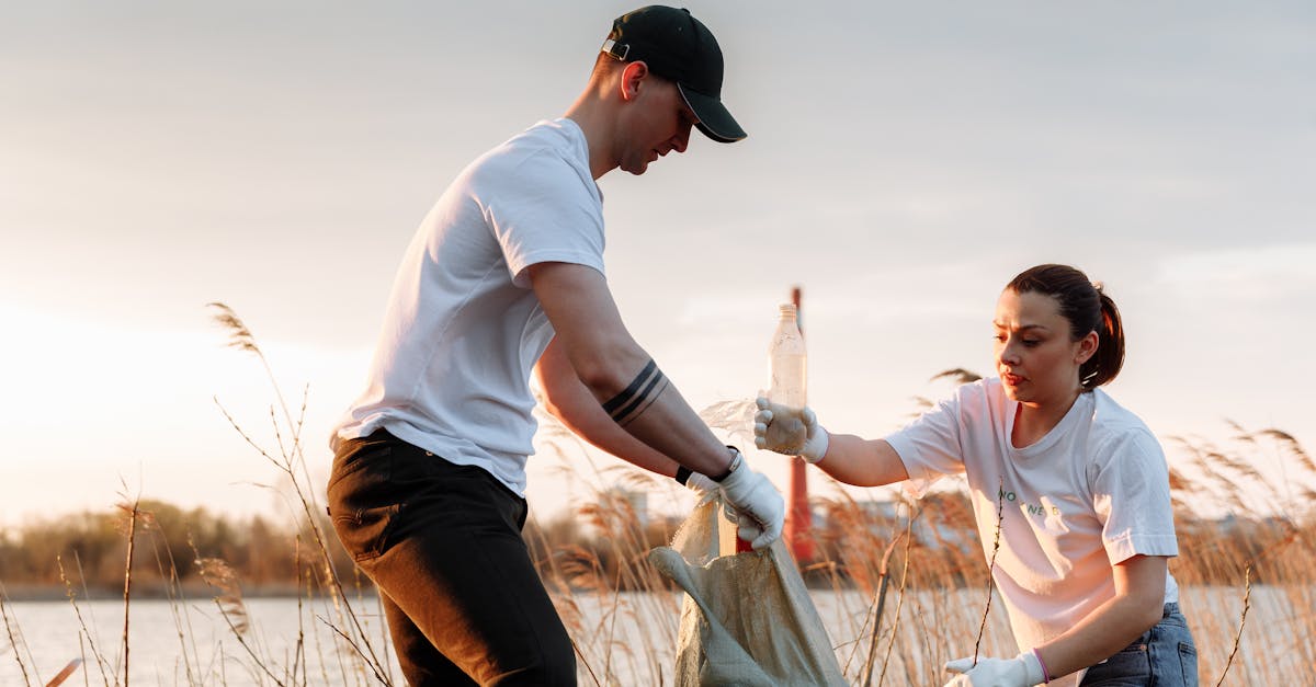 découvrez les services écosystémiques, ces bénéfices essentiels offerts par la nature comme la pollinisation, la régulation du climat et la purification de l'eau, et apprenez comment ils soutiennent notre bien-être et notre environnement.
