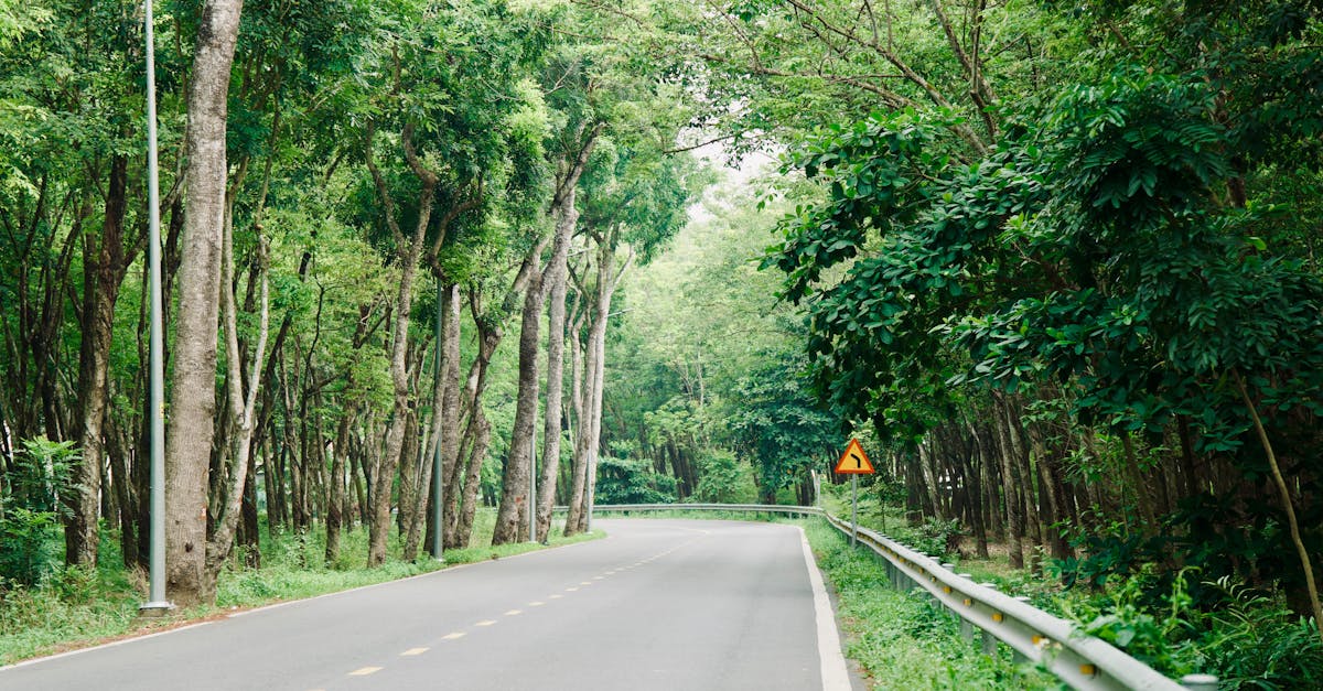 découvrez comment réaliser une transition durable pour un avenir respectueux de l'environnement. explorez des stratégies innovantes et des solutions concrètes pour réduire votre empreinte écologique et promouvoir un développement durable.
