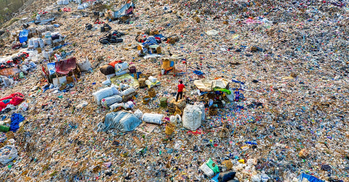 découvrez les meilleures pratiques en gestion des déchets pour un environnement plus propre et durable. apprenez à réduire, réutiliser et recycler efficacement pour minimiser l'impact sur notre planète.