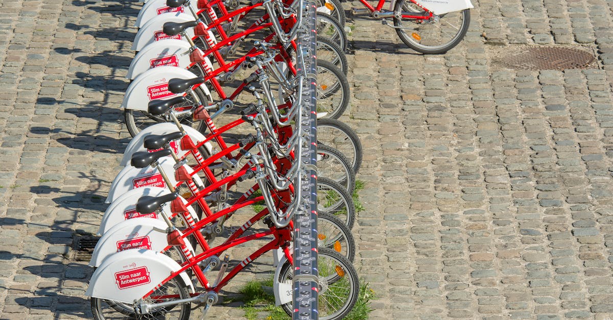 découvrez les solutions de mobilité durable qui réduisent l'impact environnemental tout en offrant des alternatives pratiques et efficaces pour vos transports quotidiens. embrassons ensemble un avenir plus vert!