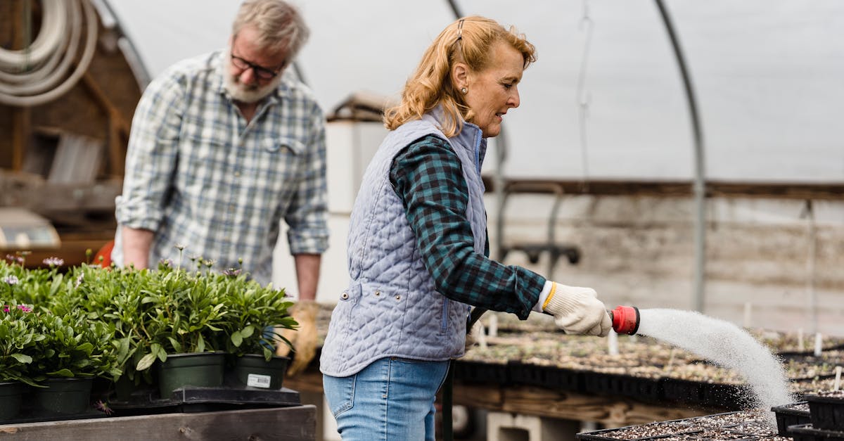découvrez comment les partenariats durables peuvent transformer les entreprises et promouvoir un avenir respectueux de l'environnement. explorez des stratégies innovantes pour collaborer efficacement tout en préservant les ressources naturelles.