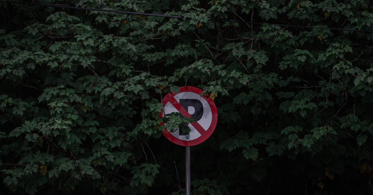 explorez les enjeux et les défis du droit environnemental, une discipline essentielle pour la protection de notre planète. découvrez les régulations, les lois et les stratégies visant à préserver les ressources naturelles et à promouvoir un développement durable.