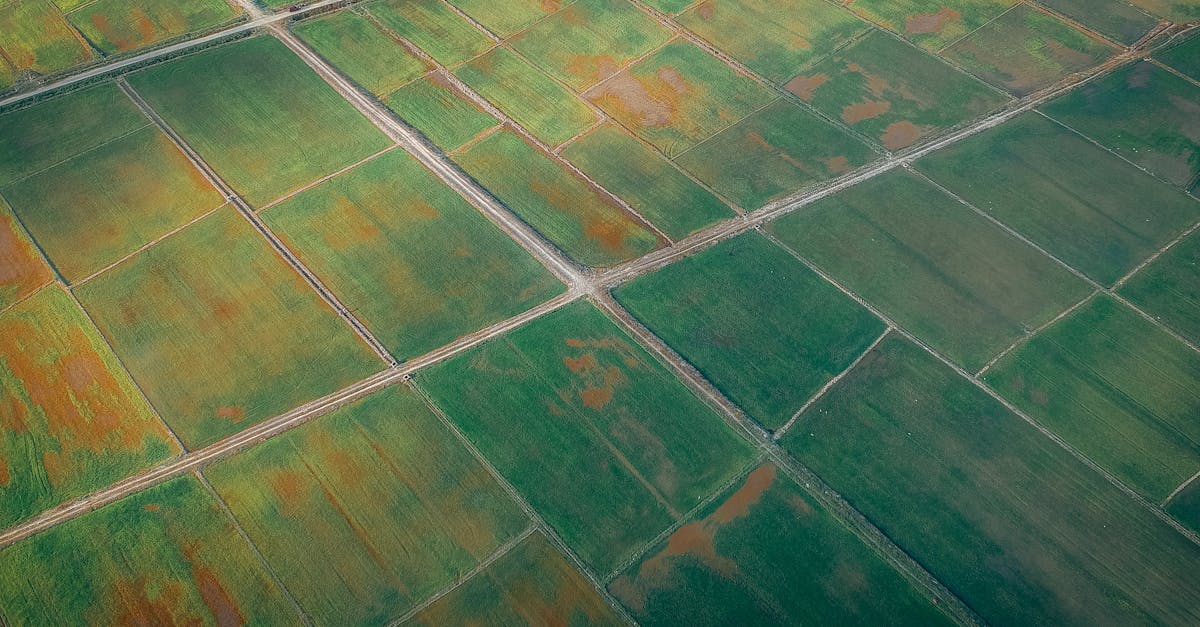 découvrez les principes du gestion durable, une approche stratégique qui vise à équilibrer le développement économique, la protection de l'environnement et le bien-être social. apprenez à intégrer les pratiques durables dans votre organisation pour un avenir plus responsable et éthique.