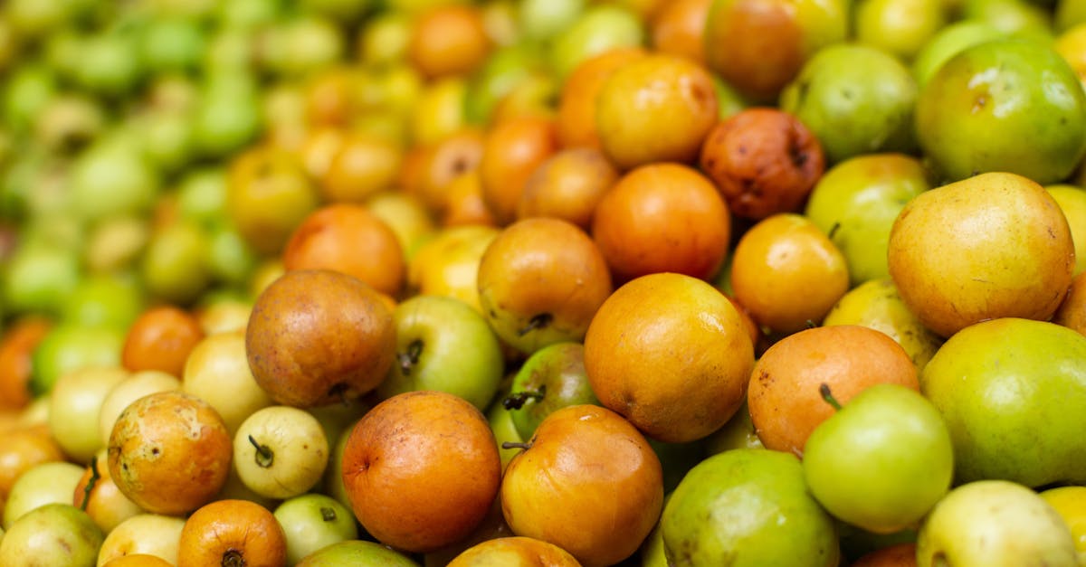 découvrez comment adopter une consommation durable pour préserver notre planète. apprenez des pratiques éco-responsables et des solutions innovantes pour réduire votre empreinte écologique tout en profitant de produits de qualité.