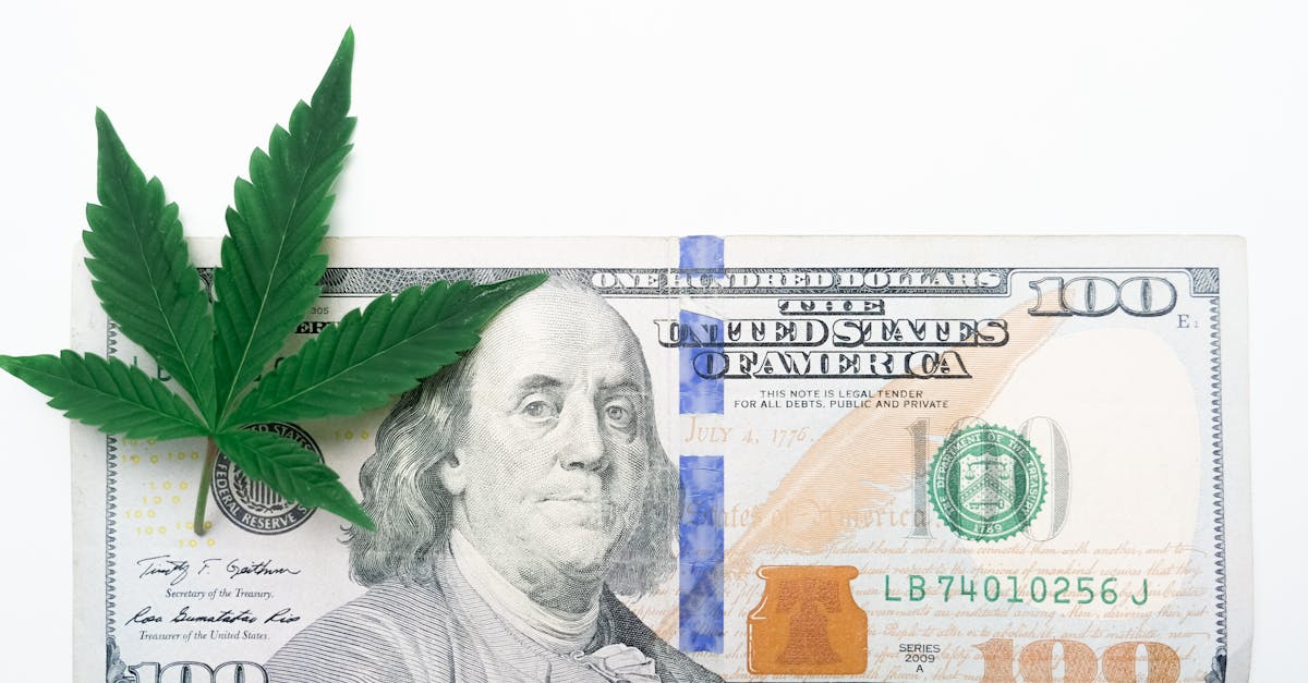 découvrez l'économie verte, une approche durable qui allie développement économique et protection de l'environnement. explorez comment cette transition vers des pratiques respectueuses de la planète peut offrir des opportunités d'emploi et contribuer à un avenir meilleur.