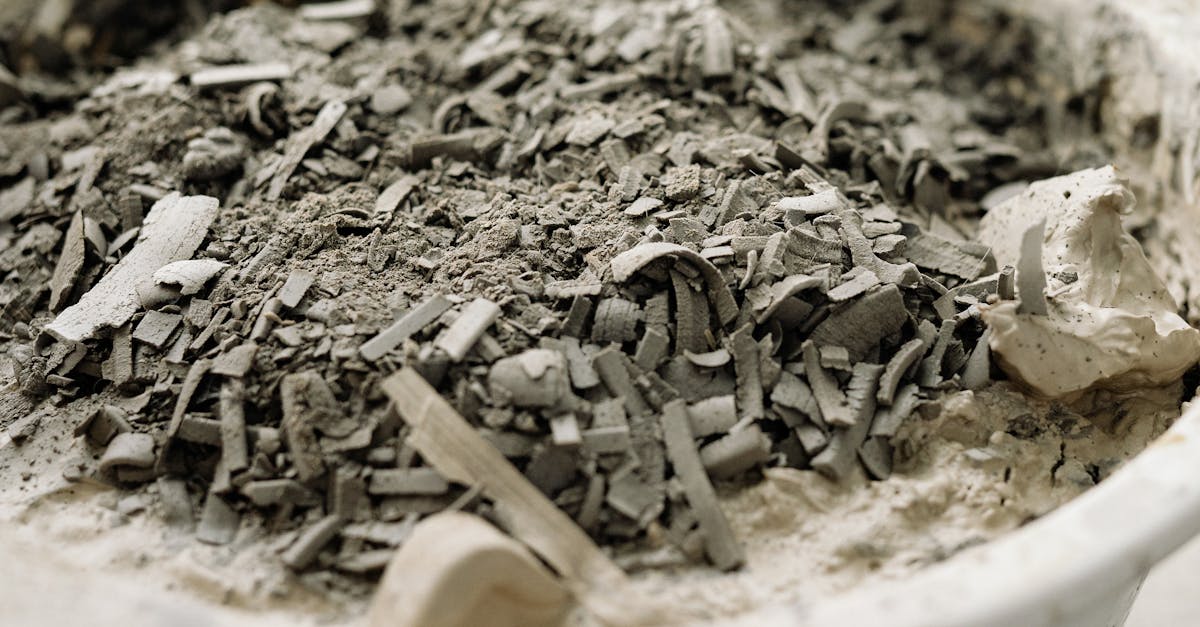 découvrez les enjeux et solutions liés aux déchets organiques. apprenez à valoriser vos déchets alimentaires pour contribuer à la durabilité environnementale et réduire l'impact écologique grâce à des méthodes de compostage et de recyclage.