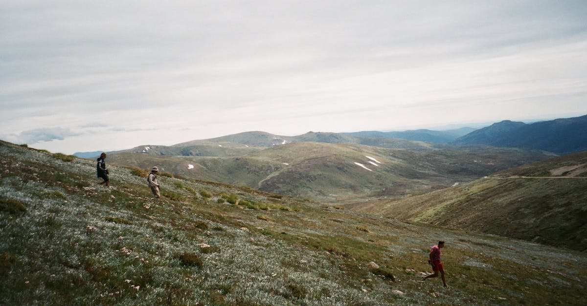 découvrez les enjeux environnementaux majeurs de notre époque, des défis du changement climatique à la préservation de la biodiversité. explorez les solutions durables et les actions nécessaires pour protéger notre planète et garantir un avenir sain pour les générations futures.