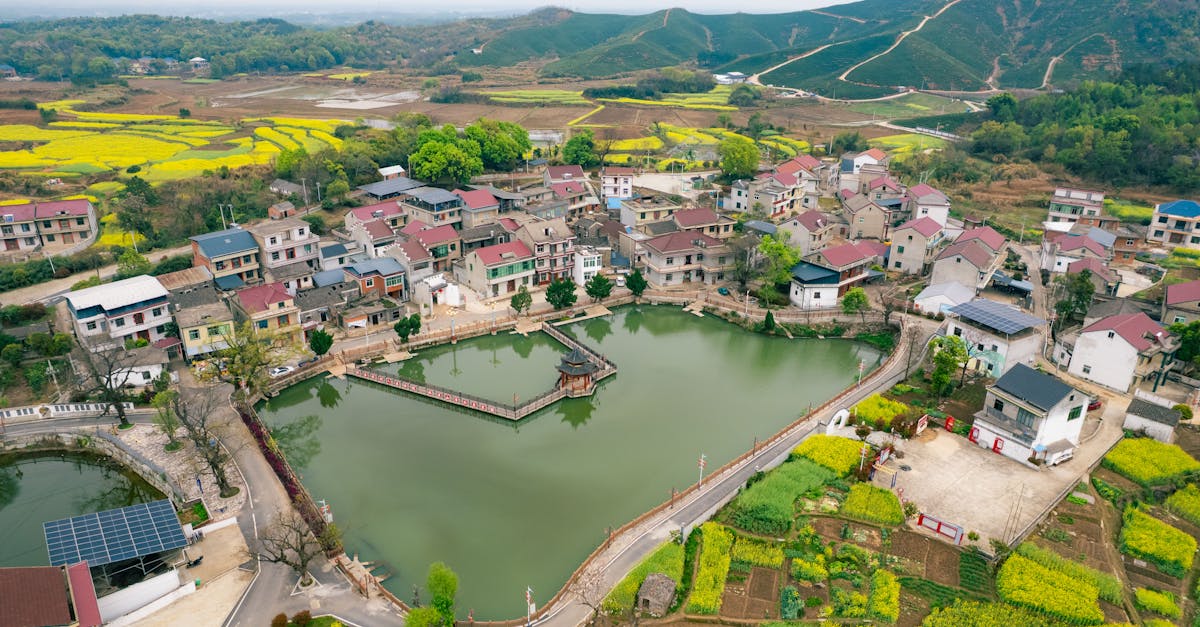 découvrez l'agriculture durable, une approche innovante qui allie respect de l'environnement et productivité. apprenez comment cette méthode préserve les ressources naturelles tout en garantissant la sécurité alimentaire pour les générations futures.