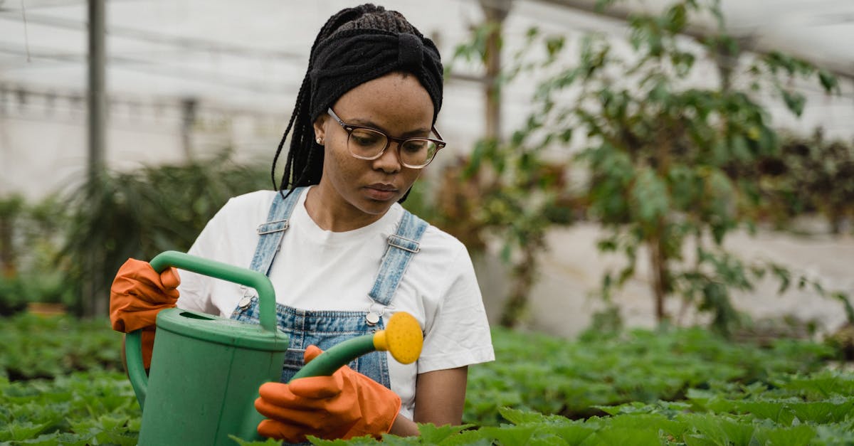 découvrez l'agriculture urbaine, une approche innovante qui transforme les villes en espaces de production alimentaire durable. explorez les avantages écologiques, économiques et sociaux de cultiver des jardins et des potagers en milieu urbain, et apprenez comment participer à cette tendance écoresponsable.