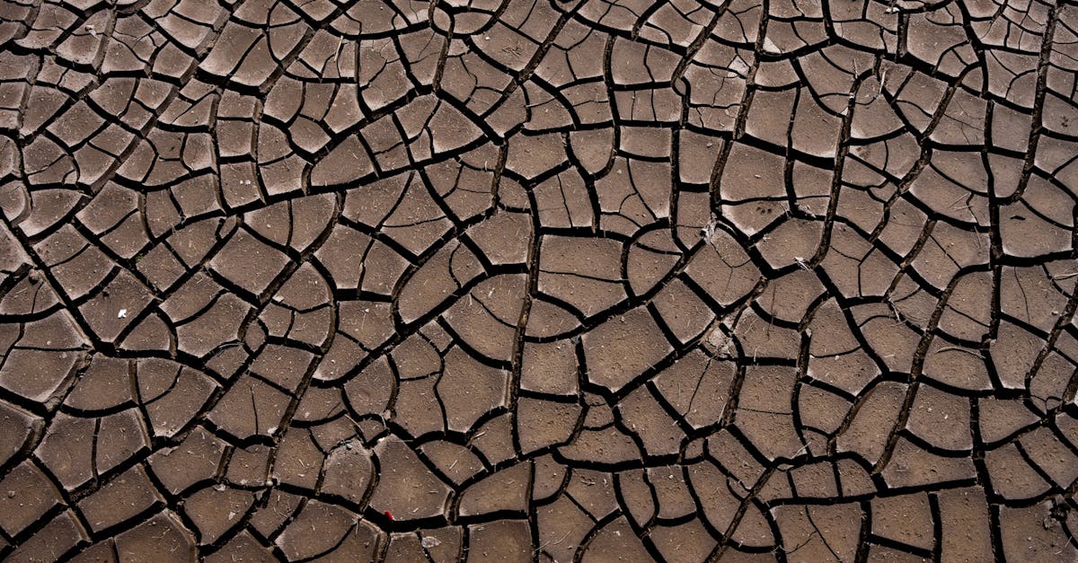 découvrez les principales préoccupations liées au climat, leurs impacts sur l’environnement et les solutions pour un avenir plus durable. informez-vous sur l’urgence climatique et les actions possibles.