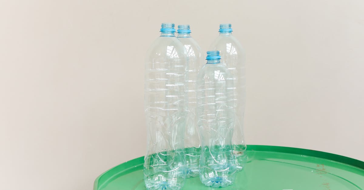 découvrez des stratégies efficaces pour la conservation des ressources naturelles. apprenez comment préserver notre environnement tout en utilisant durablement les ressources disponibles, afin de construire un avenir plus vert et responsable.