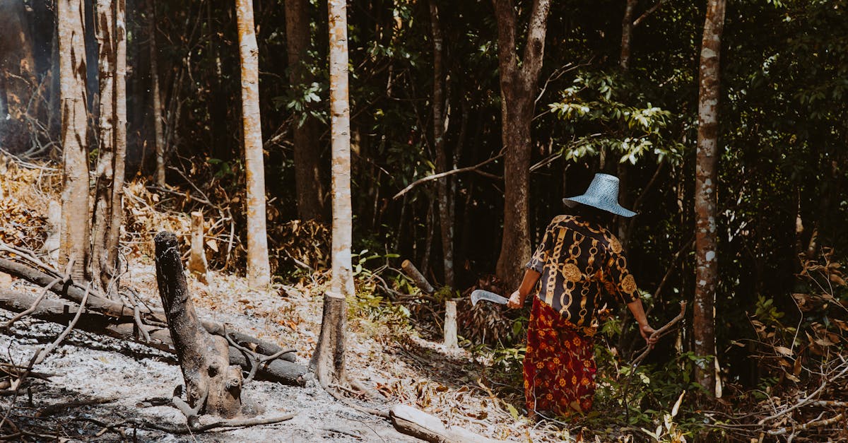 découvrez les pratiques durables qui transforment nos modes de vie : des solutions écologiques pour préserver notre planète tout en améliorant notre quotidien. engagez-vous dans un avenir responsable.