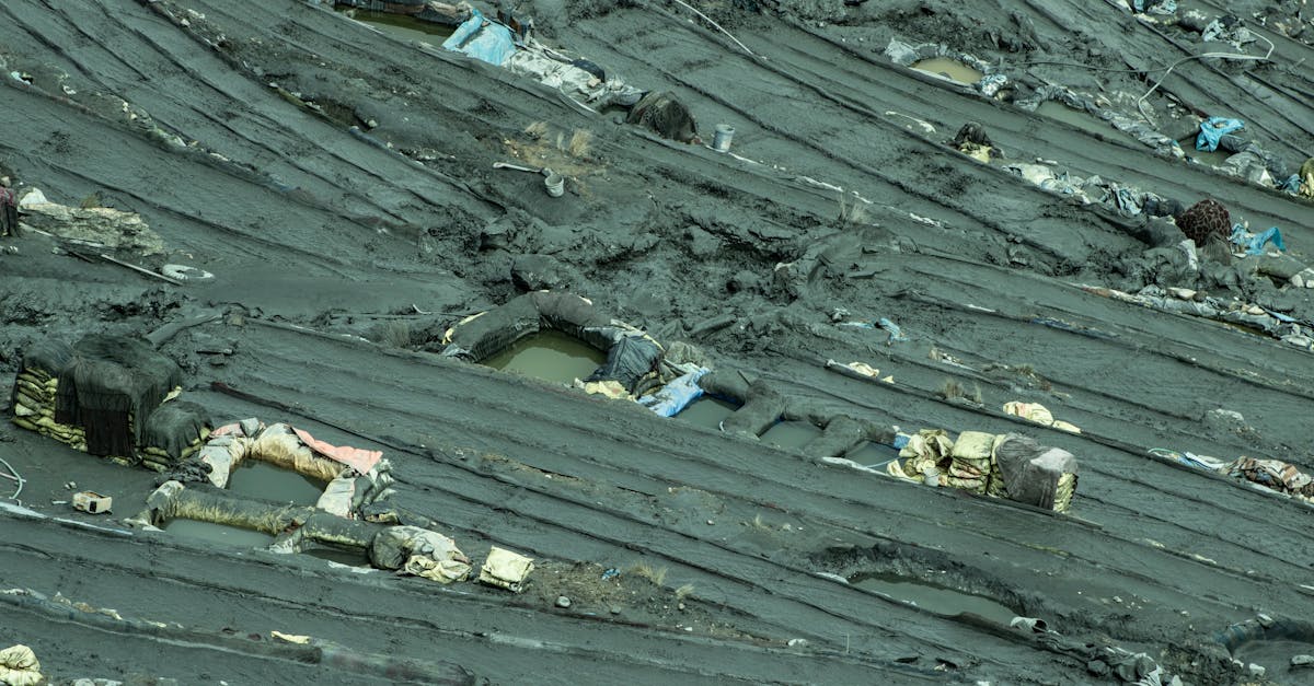 découvrez les enjeux environnementaux actuels qui menacent notre planète. analyse des problématiques liées au changement climatique, à la pollution, à la biodiversité et aux ressources naturelles. engagez-vous pour un avenir durable.