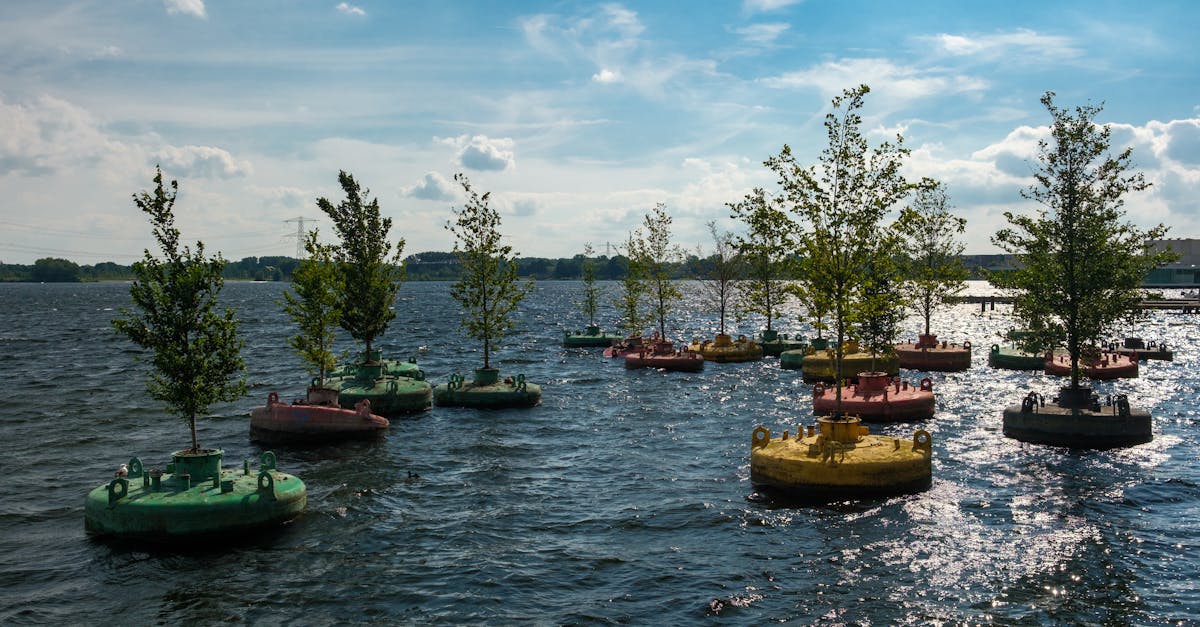 découvrez comment la gouvernance écologique favorise une gestion durable de l'environnement, impliquant citoyens, entreprises et gouvernements pour préserver les ressources naturelles et lutter contre le changement climatique.