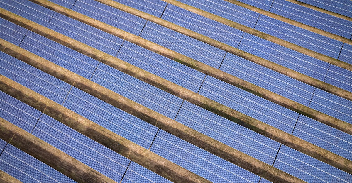 découvrez comment la transition énergétique transforme notre avenir en adoptant des solutions durables et innovantes. explorez les enjeux, les technologies vertes et les initiatives pour un monde plus respectueux de l'environnement.