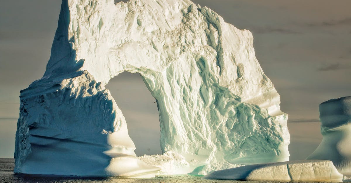 découvrez comment agir efficacement pour la prévention des changements climatiques. strategies, conseils et actions concrètes pour préserver notre planète et assurer un avenir durable.