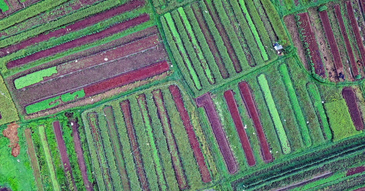 découvrez les meilleures pratiques en gestion des ressources pour optimiser l'utilisation de vos actifs, améliorer l'efficacité de votre entreprise et garantir une planification stratégique réussie.