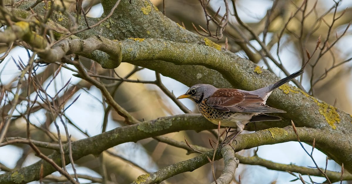 découvrez comment le changement de comportement peut transformer votre vie et améliorer vos habitudes au quotidien. apprenez des stratégies efficaces pour adopter des attitudes positives et surmonter les obstacles liés au changement.