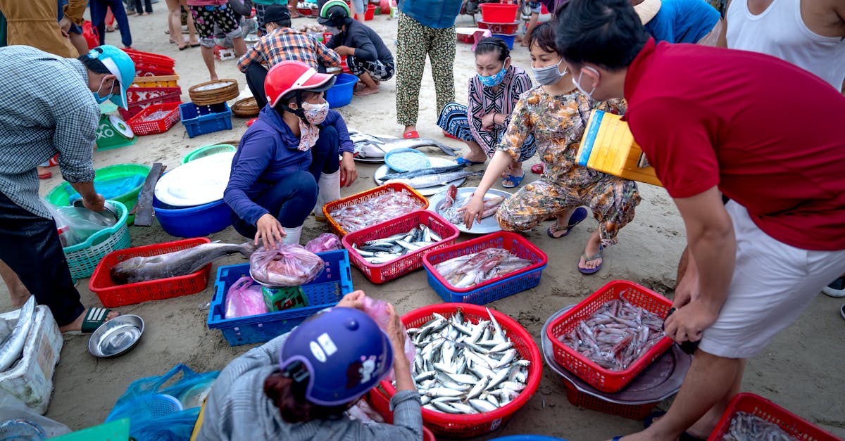 découvrez les clés d'une consommation durable : des pratiques écoresponsables aux choix éthiques, apprenez à adopter un mode de vie respectueux de l'environnement tout en préservant les ressources pour les générations futures.