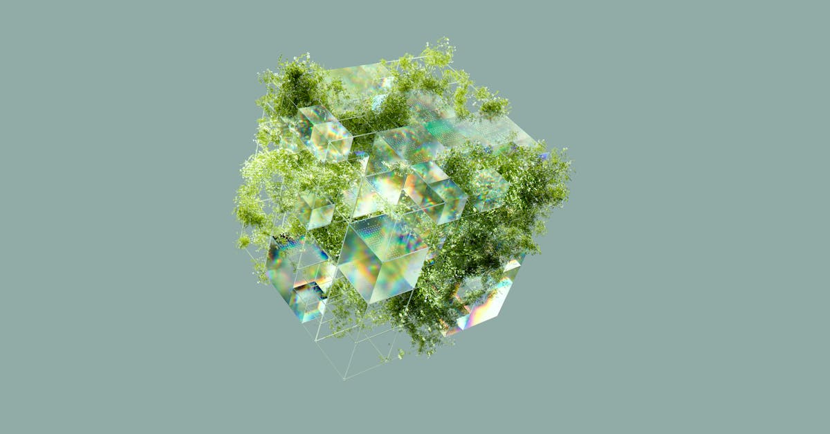 découvrez comment les réseaux écologiques favorisent la biodiversité et améliorent l'équilibre des écosystèmes. explorez les interactions entre les espèces et leur environnement pour comprendre l'importance de ces systèmes pour la planète.