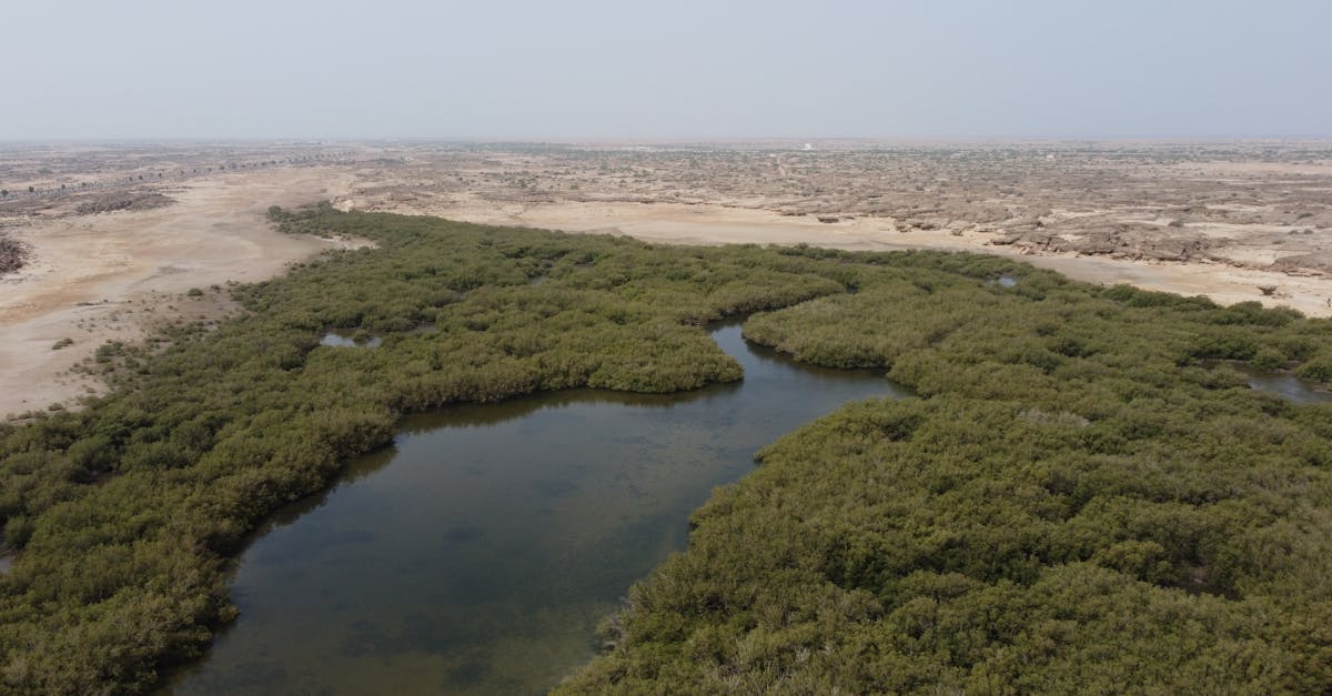 découvrez les stratégies et solutions innovantes pour l'adaptation au changement climatique. apprenez comment les collectivités, les entreprises et les individus peuvent s'ajuster aux impacts du climat et construire un avenir durable.