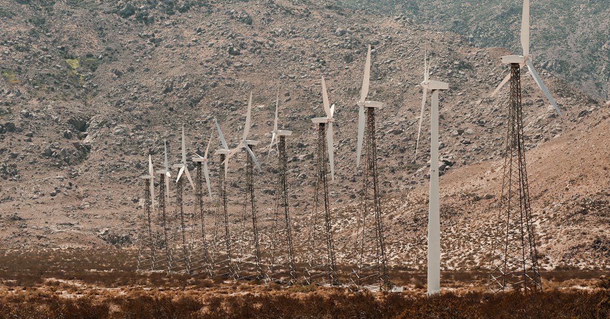 découvrez notre formation environnementale complète qui vous permettra d'acquérir des compétences essentielles pour promouvoir le développement durable et sensibiliser aux enjeux écologiques. rejoignez-nous pour un apprentissage interactif et impactant !