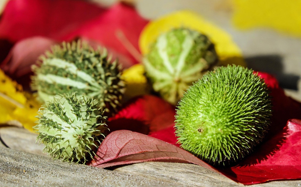 découvrez l'importance de la consommation locale : soutenez les producteurs de votre région, réduisez votre empreinte écologique et profitez de produits frais et de qualité. adoptez une démarche responsable !