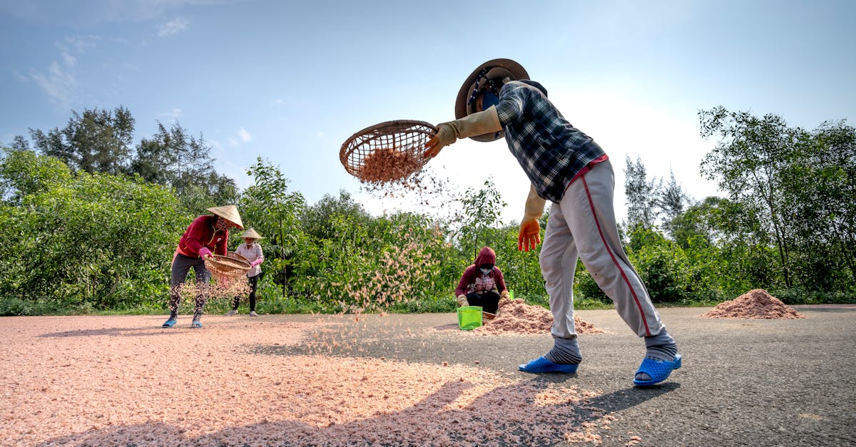 découvrez des pratiques commerciales durables pour réduire l'impact environnemental, améliorer l'efficacité et favoriser une croissance responsable de votre entreprise.
