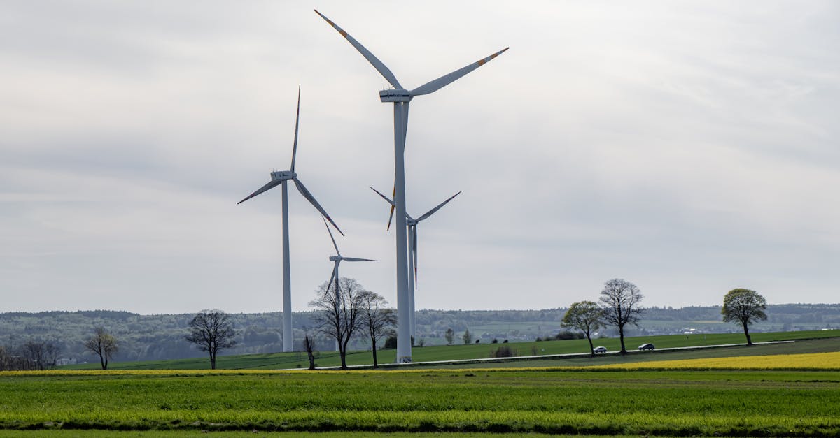 découvrez comment la réforme écologique transforme nos sociétés en intégrant durabilité et innovation. explorez les enjeux, les initiatives et les solutions pour un avenir respectueux de l'environnement.