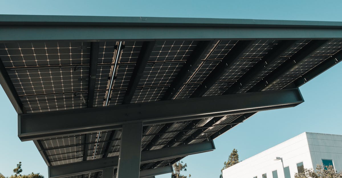 découvrez tout ce qu'il faut savoir sur l'empreinte carbone, son impact sur l'environnement et les actions concrètes à mettre en œuvre pour la réduire. apprenez à calculer votre empreinte et adoptez des habitudes écologiques pour un avenir plus durable.