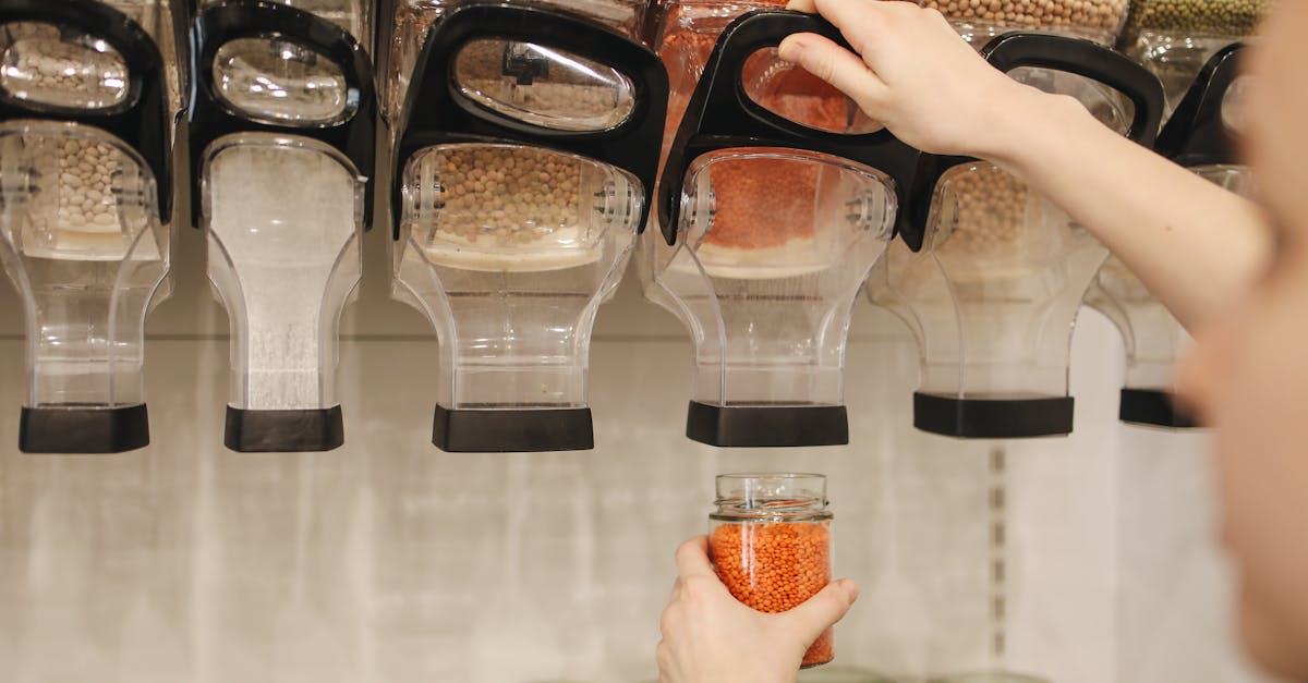 découvrez les principes de l'éthique environnementale, une discipline qui examine notre responsabilité envers la nature et les êtres vivants. explorez les enjeux contemporains liés à la durabilité, à la conservation et aux valeurs écologiques pour promouvoir un avenir respectueux de notre planète.