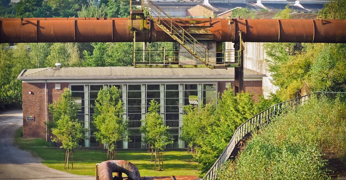 découvrez comment opérer une transition durable pour un avenir meilleur. explorez des stratégies, des innovations et des pratiques écologiques qui favorisent un développement responsable et respectueux de l'environnement.