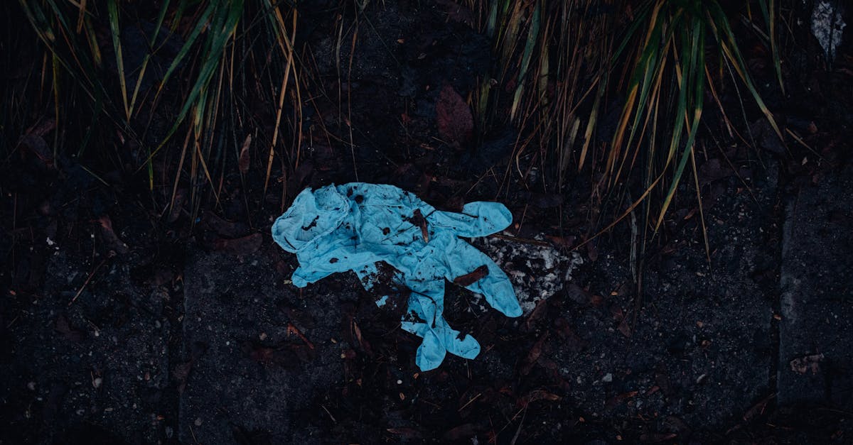 découvrez l'importance de la protection des sols pour l'environnement et la biodiversité. apprenez des méthodes efficaces pour préserver la qualité du sol, réduire l'érosion et promouvoir une agriculture durable. engagez-vous pour un avenir plus sain et respectueux de notre planète.